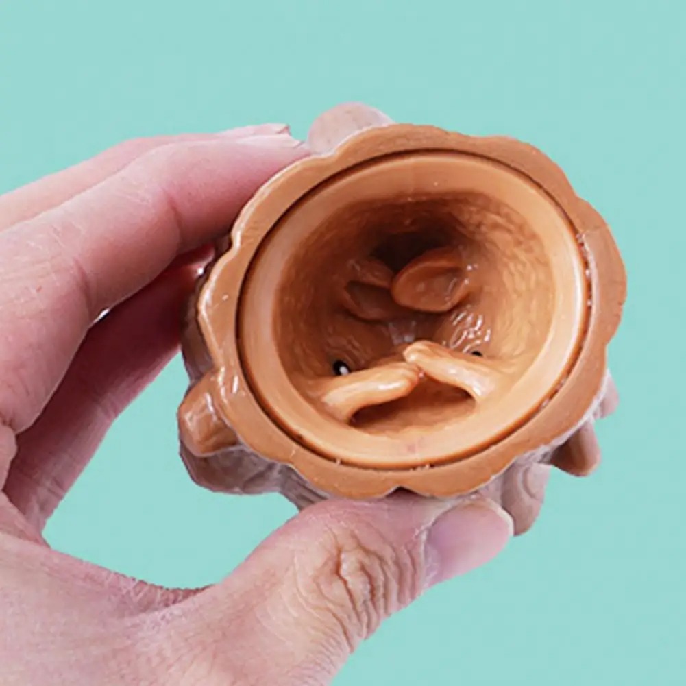Pop Up Grappige Muis En Kaas B - Photography Jokes recensie en prijs