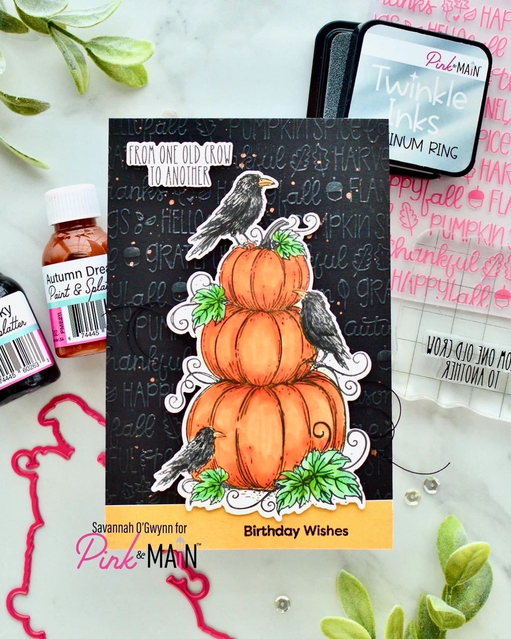 2026 Halloween Kat Pompoen Spo - Photography Jokes recensie en prijs