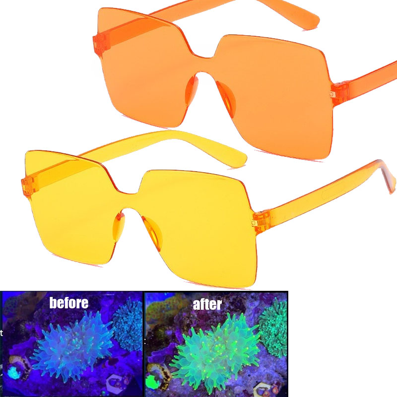 Coral Observation Glasses Cora - Photography Natural Lighting recensie en prijs