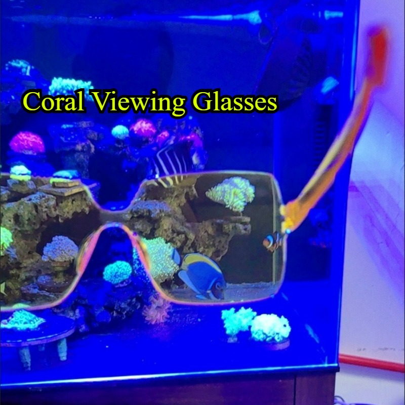 Coral Observation Glasses Cora - Photography Natural Lighting recensie en prijs