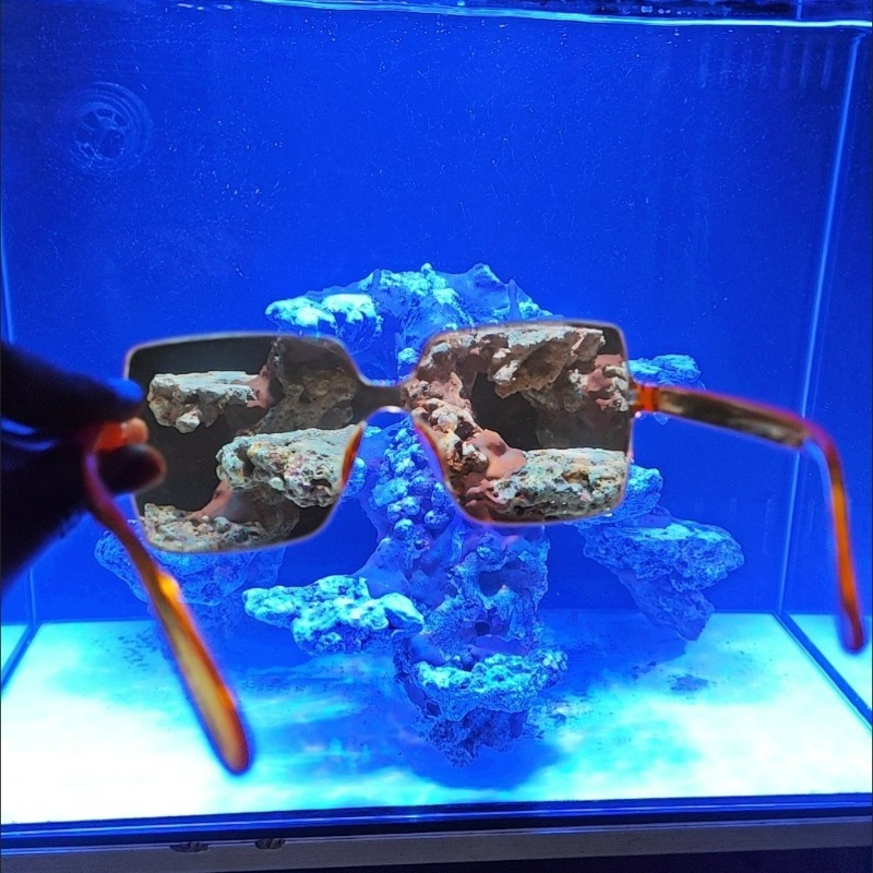 Coral Observation Glasses Cora - Photography Natural Lighting recensie en prijs